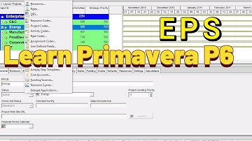 How to create Enterprise Project Structure in Primavera P6