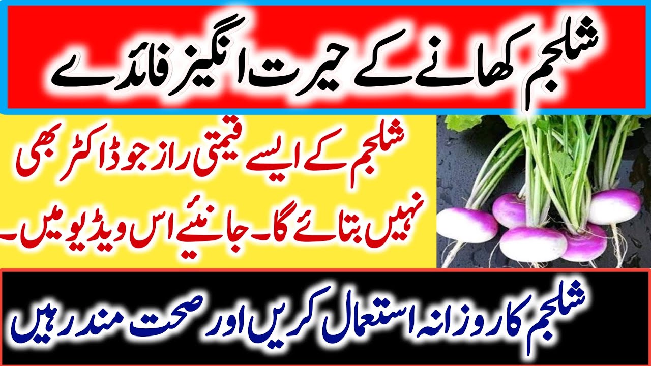 Shalgam khane k fayde/ Benefits of turnip in urdu/Benefits of vegetables/ Mufeed Malomati Tv/MM