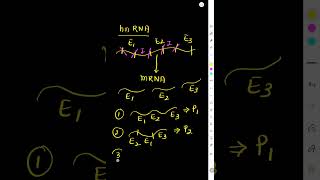 Benefit of having split genes to Eukaryotes | Alternative splicing | hnRNA maturation #biology #neet