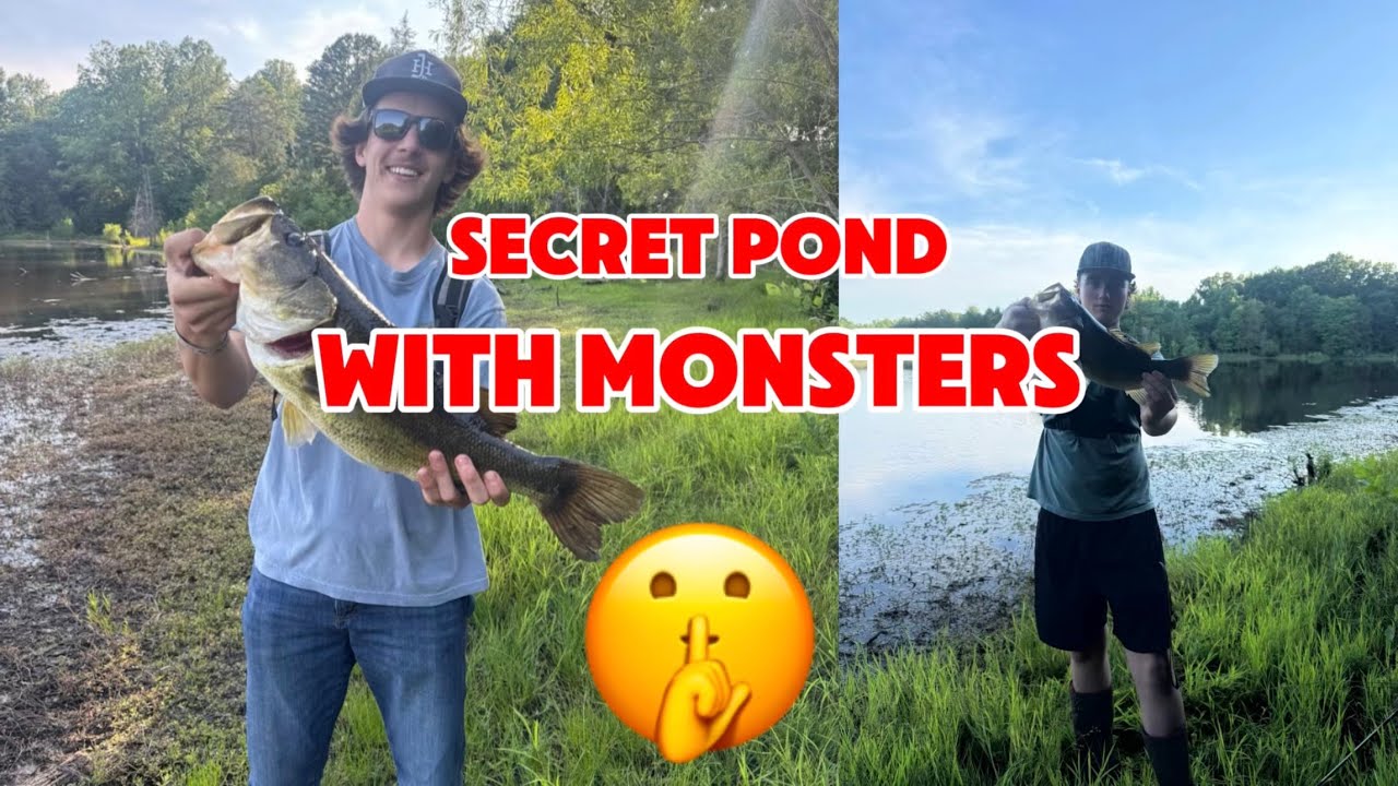 Secret Pond (BIG BASS)