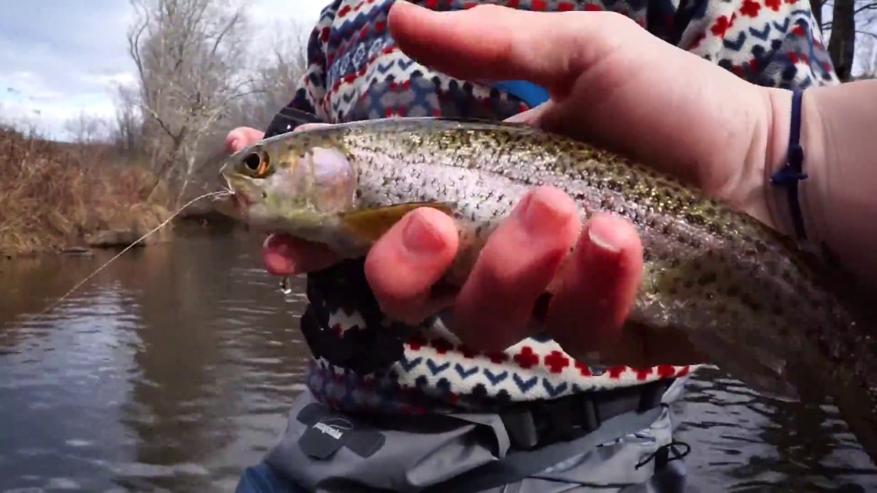 Mitchell River Fly Fishing - YouTube