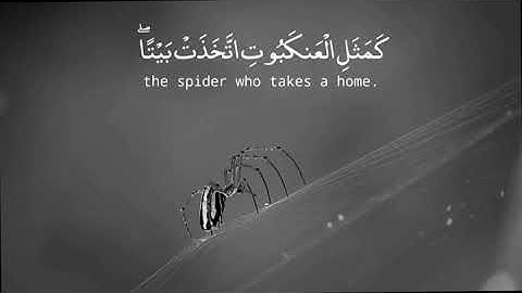 محمد اللحيدان | من سورة العنكبوت .