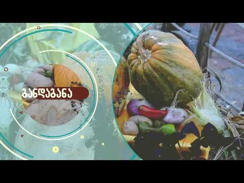 სოფლის ტურიზმის ფესტივალი \"განდაგანა\"