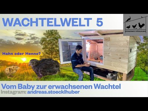 Video: Wie kaufe ich eine Wohnung in Moskau? Kauf einer Wohnung: Dokumente