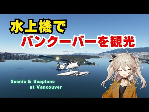 DHCビーバー25e水上機 DHCビーバー25e水上機 DHCビーバー25e水上機 （カナダのHarbour
