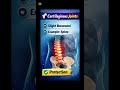 Joints &amp; Their Types!Fibrous, Cartilaginous, Synovial Easy &amp; Quick! #Anatomy #MedicalShorts #Joints