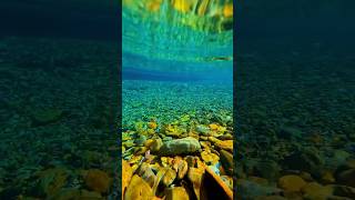 Most Beautiful View Under The Water #Amazing #Smartphotography #Beautiful
