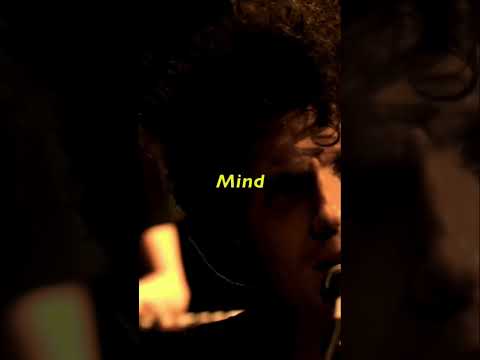 The Fratellis -
