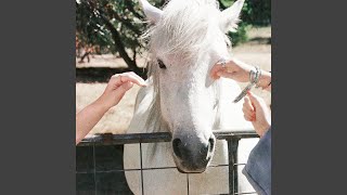 Download lagu Lover's Grip