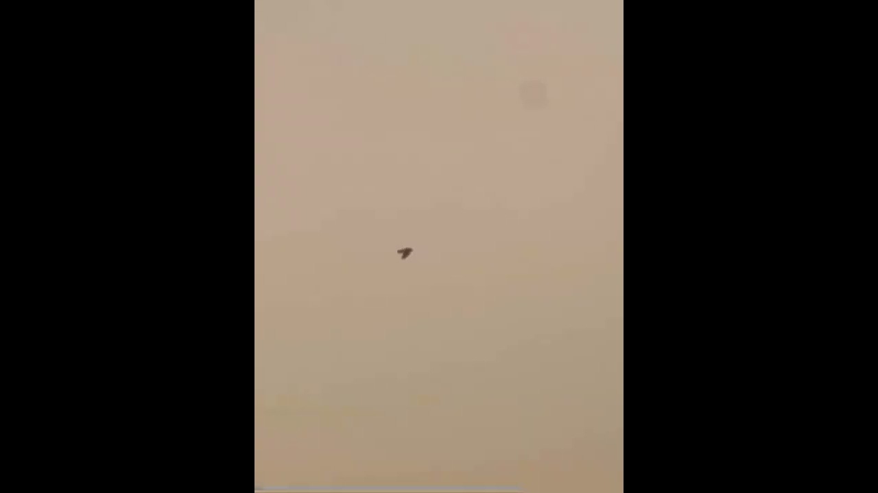 حمام لوت الرمعه بأنواعها مع الكمخه وتنزيل الأرجل ،،طير احمد حلو