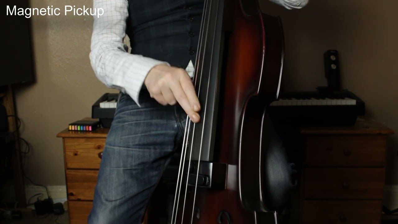 Landscape SWB Artist Electric Upright Bass (EUB) - YouTube