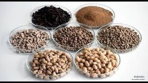 Unit2 Evaluating Feedstuffs for Farm Livestock 16 with Narration