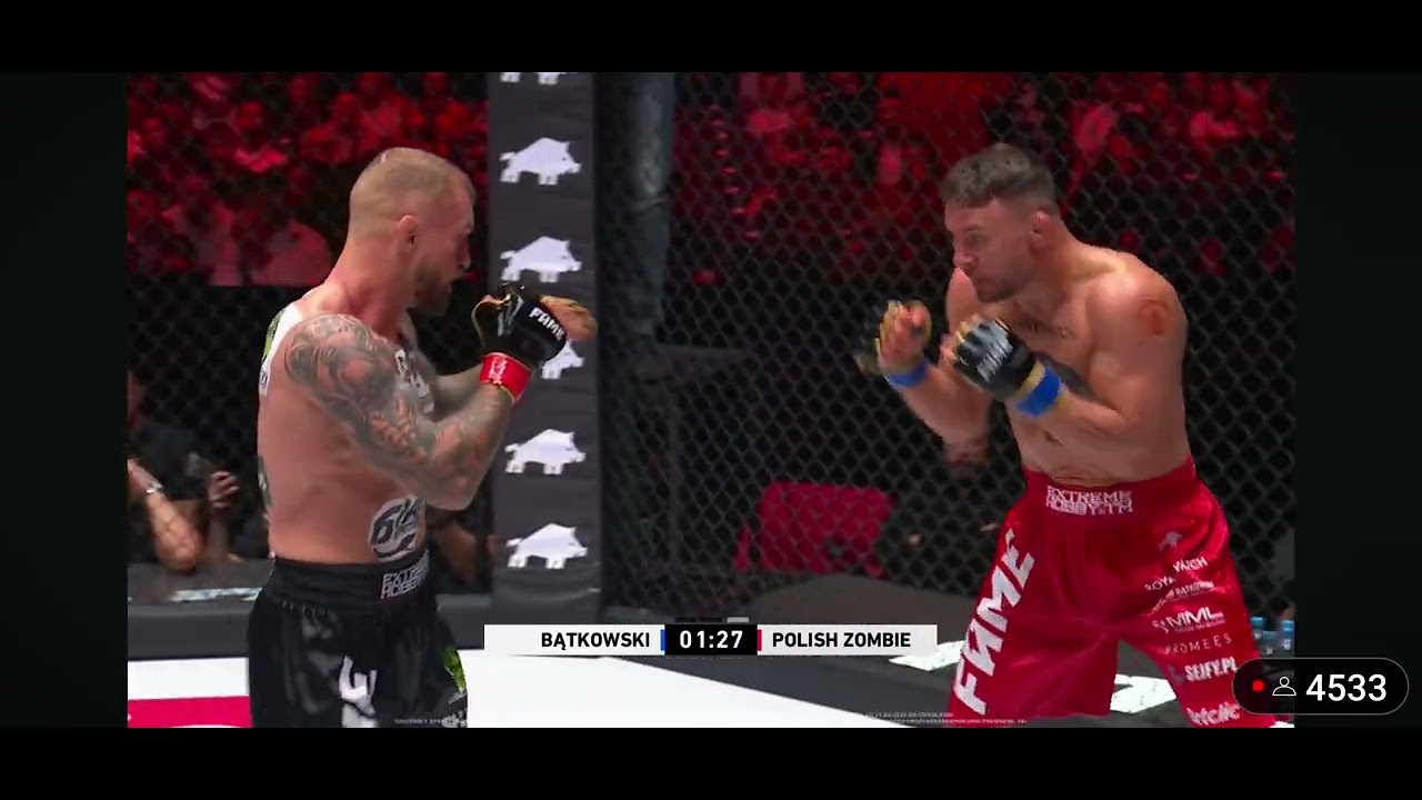 fame mma ; Marcin Wrzosek vs bąkowski , free fight, round 2