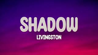 Livingston - Shadow (Lyrics)  don t think twice you'll be dead in a second by Eugene’ 3,069 views 2 months ago 2 minutes, 38 seconds