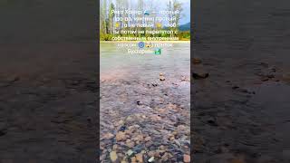 🎭 Хамир: река, которая философствует, пока течёт. #shorts #nature #travel #outdoor