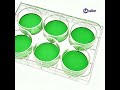 Key Considerations for Using Poly-Lysine (PLL/PDL)-Coated Plates