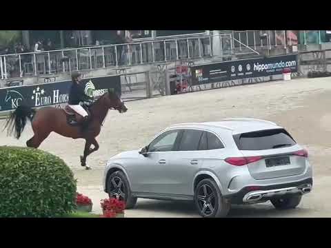 Quick Diamant HR CSIYH 7/8 yo Final Opglabbeek 1st place