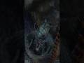quand  tu as beaucoup trop de talent (de chatte) - Final Fantasy X #retrogaming #gaming