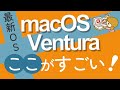 【macにVenturaがキタ!】新しいMac OS Ventura ここがすごい!開発にも役立つ!