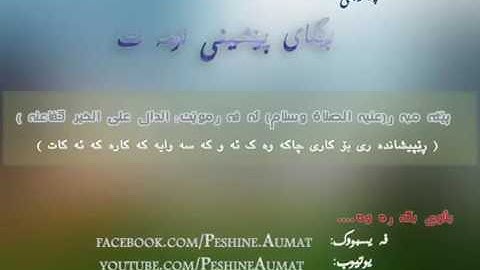 تلاوه خاشعه بصوت عذب ماشاء الله