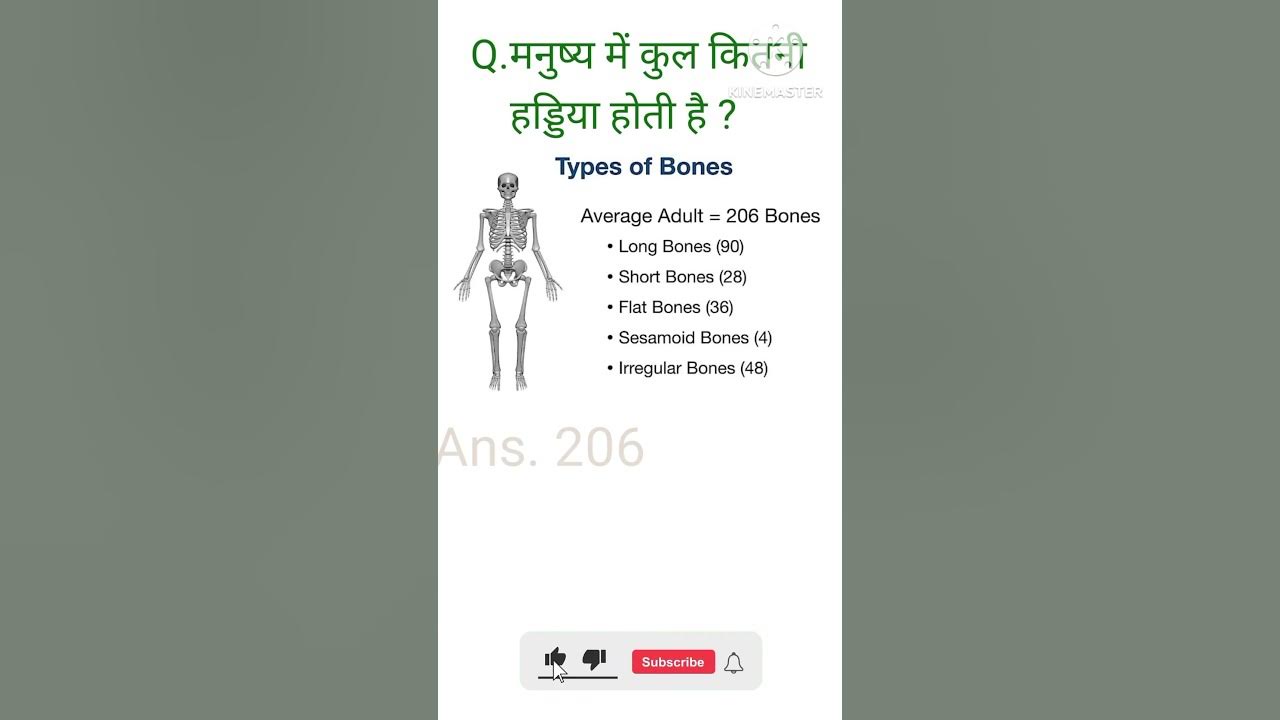 manav-sharir-mein-kitni-haddiyan-hoti-hai-science-youtubeshorts