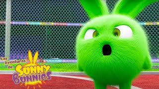 EL CONEJITO NÚMERO UNO - Las Aventuras de Sunny Bunnies | Dibujos para niños by Las Aventuras de Sunny Bunnies 59,626 views 1 month ago 3 hours