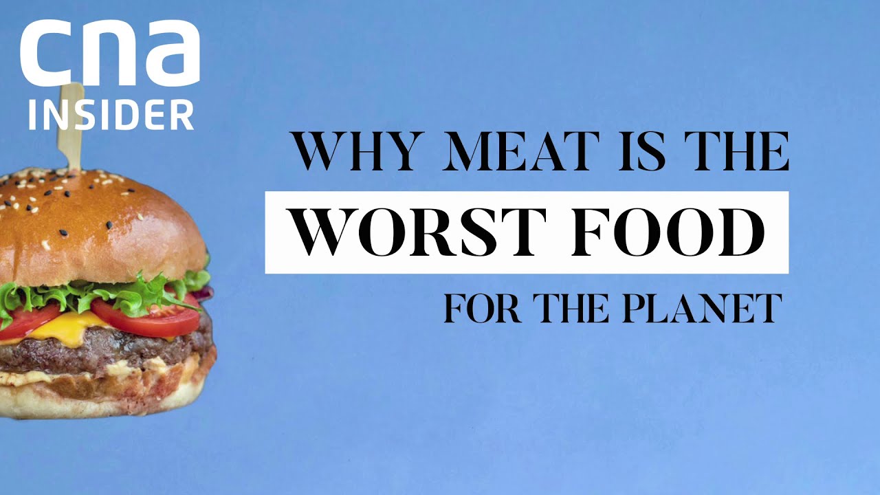 Why Meat Is The Worst Food For The YouTube