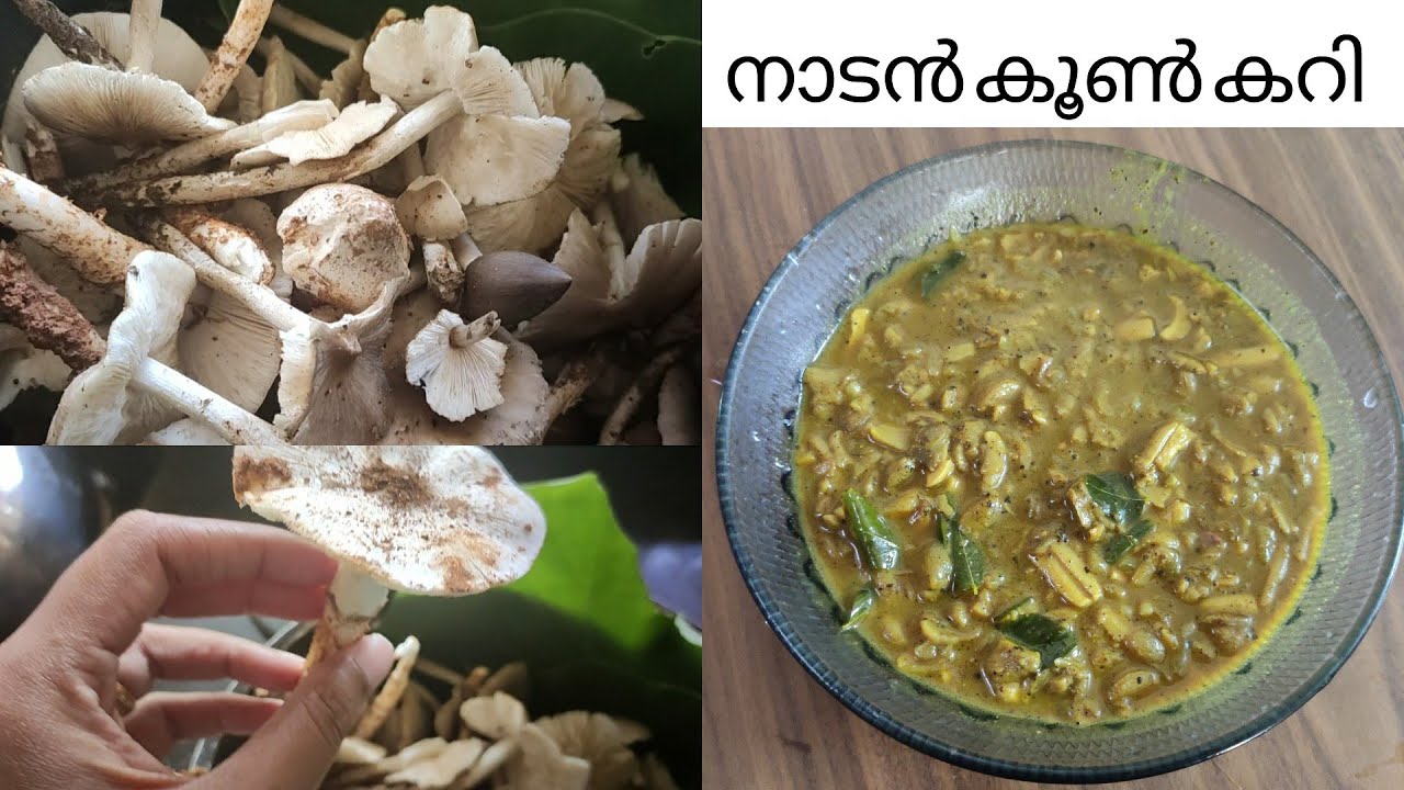 നാടൻ രീതിയിൽ കൂൺ കറി || Kerala Style Mushroom Curry Recipe | Nadan koon curry ||Easy Mushroom Masala