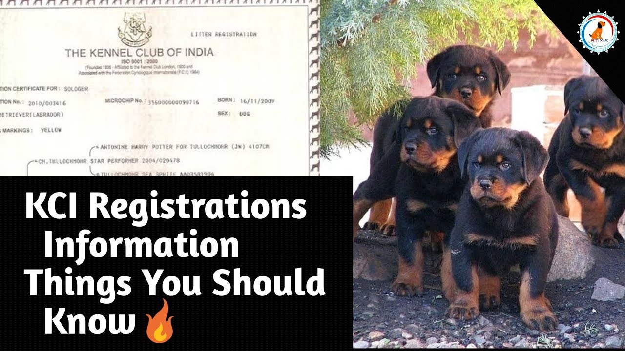 kennel club breed register