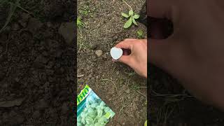 Folgt gern für mehr Gortpflanzungs äh Gartentipps.