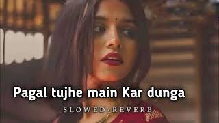 Pa Tujhe Main Kar Dunga Slowed Reverb Hindi Best Song Lofi Song 2024