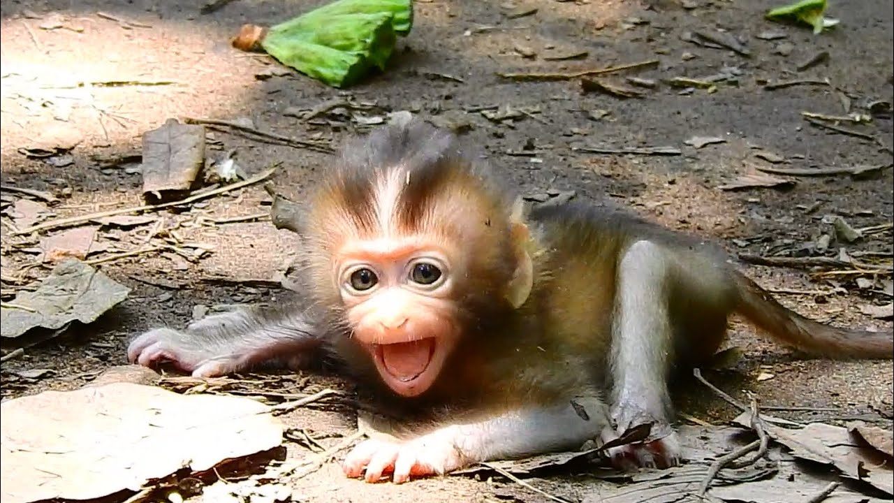 REASON WHY..? POOR BABY RAINBOW ANGRY TEMPER TANTRUM ON THE GROUND.