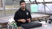 Planting Garlic Instructional Video from Territorial Seed Company