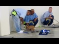 Soledad prison inmates train shelter dogs Soledad prison inmates train shelter dogs