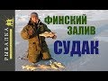 Зимняя рыбалка на финском заливе. Ловим судака