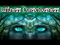 Awakening Witness Consciousness 