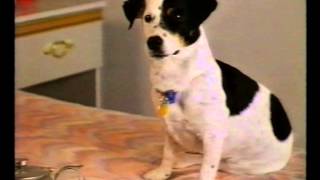 The Motel - Telecom Spot