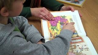 Partner Reading