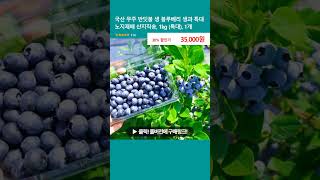 국산 무주 반딧불 생 블루베리 생과 특대 노지재배 산지직송, 1kg (특대), 1개