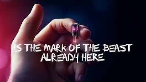 The Image and the Mark of the Beast System