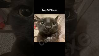 Subscribe If You Looked Behind You