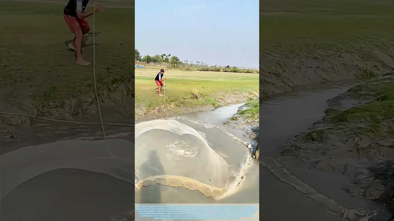 Contained Chaos: Fishing a Bubbling Spring's Hidden Feast