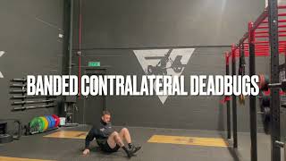 BANDED CONTRALATERAL DEADBUGS