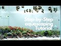 Step by Step Aquascaping Tutorial - Nature Aquarium