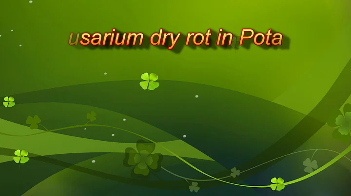 Potato dry rot disease