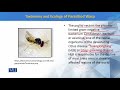 ZOO103 Principles of Systematics Lecture No 164