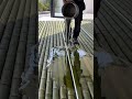 This floor transforms when the light turns on 😲