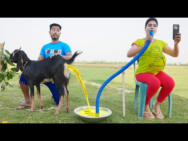 Must Watch New Special Comedy Video 2023 😎Totally Amazing Comedy  Episode 218#busyfunltd class=