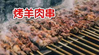 如何烤制秘制咸香羊肉串|野外烧烤:Lamb Kebab