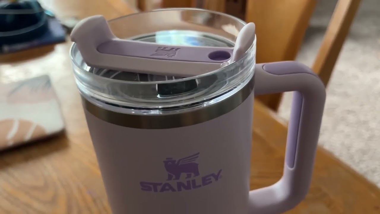 IRON °FLASK Camping & Hiking Hydration Canteens & STANLEY Quencher H2 0 FlowState Stainless Steel